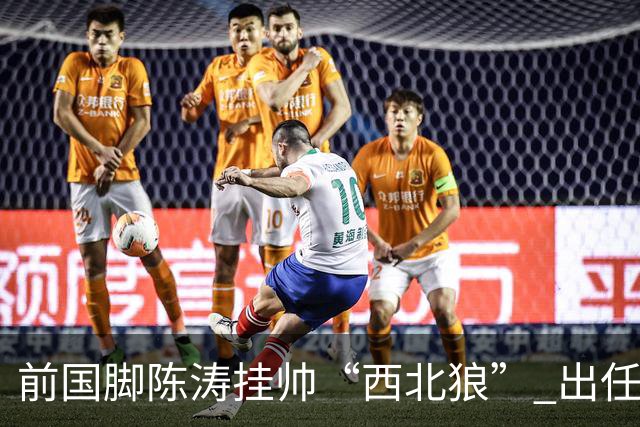 前国脚陈涛挂帅“西北狼” 出任陕西联合一线队主教练